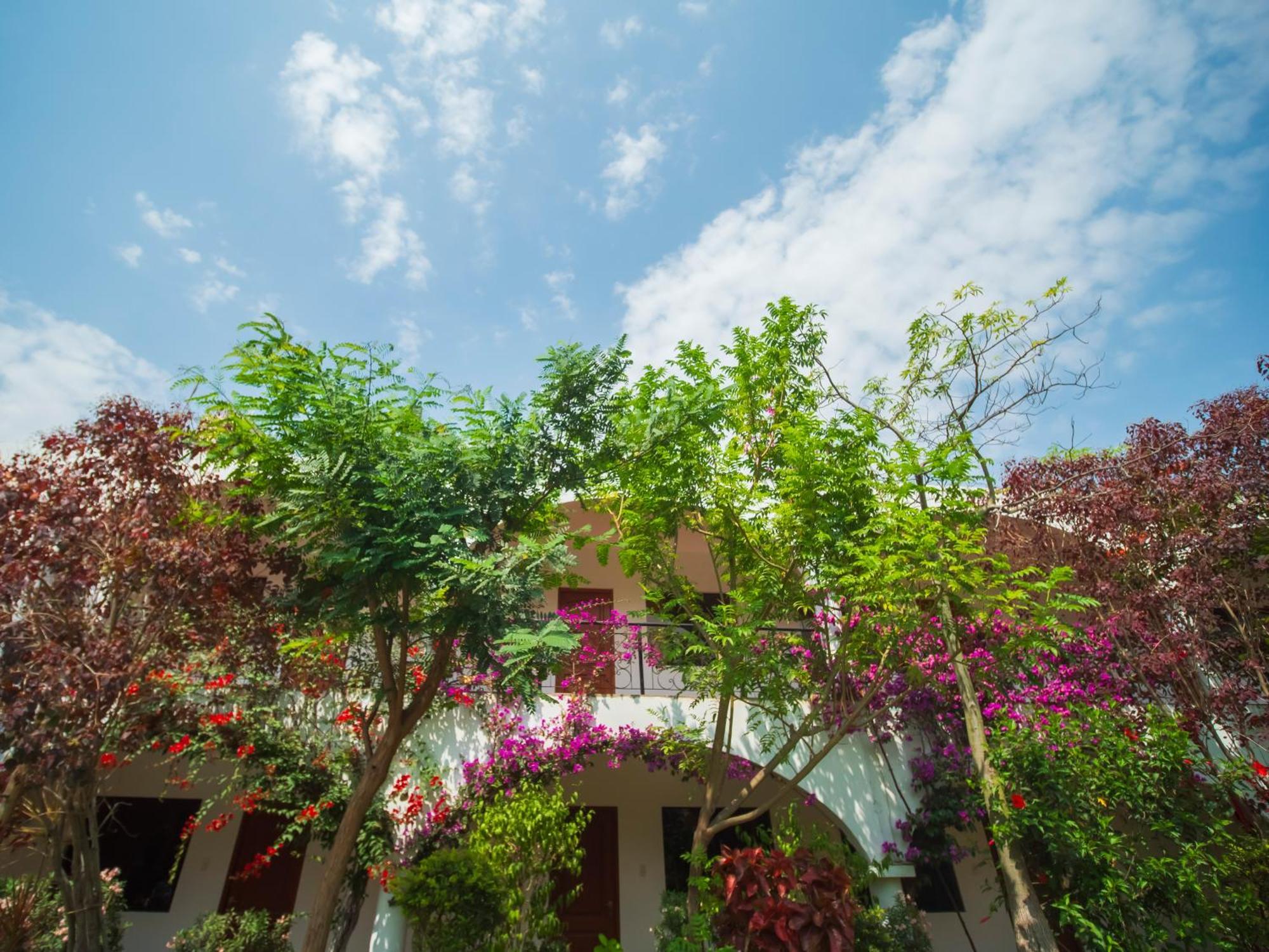 Casa Hotel Mamaluna Lunahuana Exterior photo